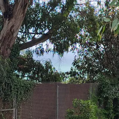 Residential Plot in Manilva