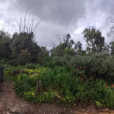 Residential Plot in Manilva