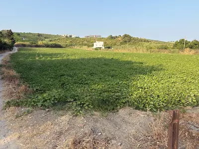 Land in Casares
