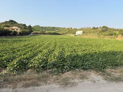 Land in Casares