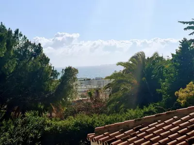 Detached Villa in Marbella