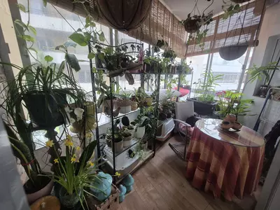 Middle Floor Apartment in Marbella