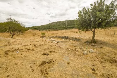 Land with Ruin in Casares