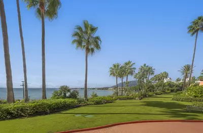 Ground Floor Apartment in Estepona