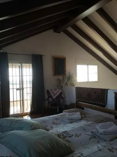 Finca - Cortijo in Estepona