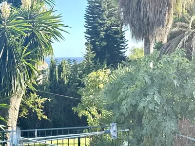Detached Villa in Marbella