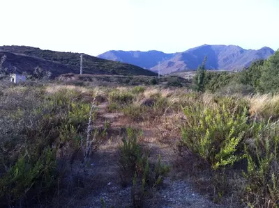 Land in Casares