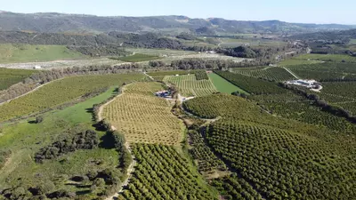 Land in Casares