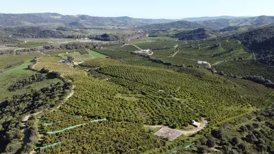 Land in Casares