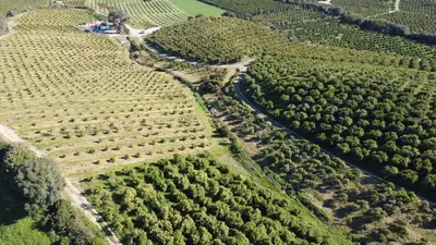Land in Casares