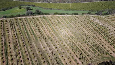 Land in Casares