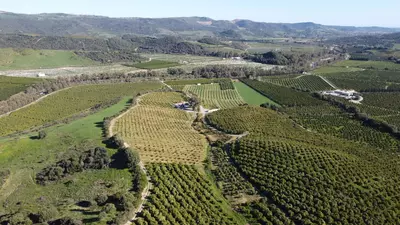 Land in Casares