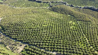 Land in Casares