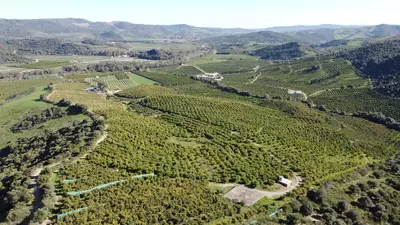 Land in Casares