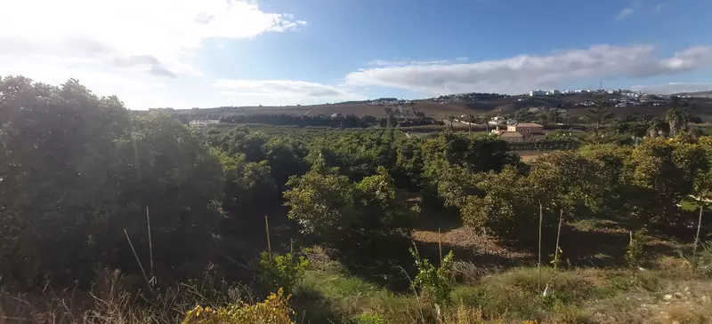 Land in Estepona