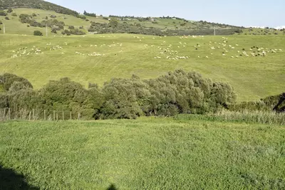 Finca - Cortijo in Casares