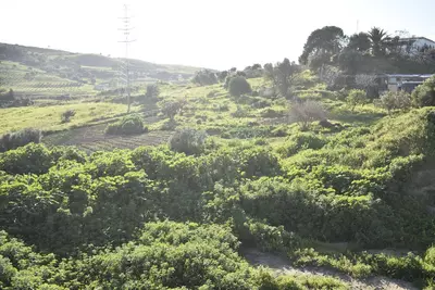 Finca - Cortijo in Casares