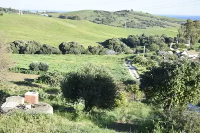 Finca - Cortijo in Casares