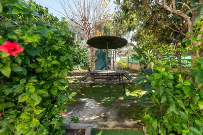 Detached Villa in Las Chapas