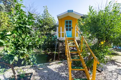 Detached Villa in Las Chapas