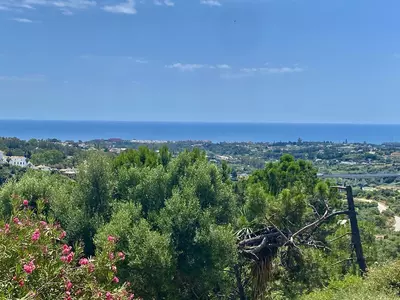Detached Villa in El Padron