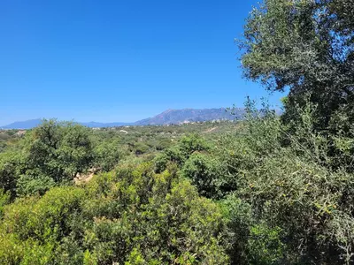 Residential Plot in Elviria