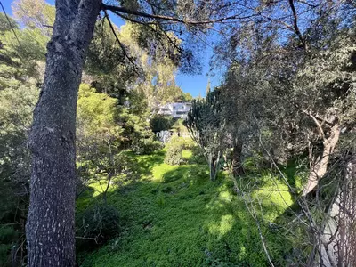 Detached Villa in Marbella