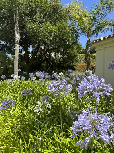 Middle Floor Apartment in Casares