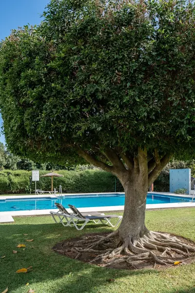 Middle Floor Apartment in Marbella