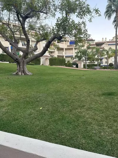 Ground Floor Apartment in Nueva Andalucía