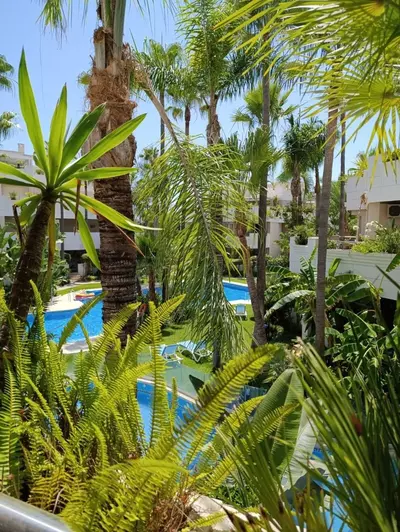 Middle Floor Apartment in Nueva Andalucía