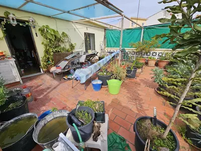 Semi-Detached House in Estepona