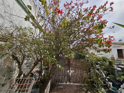 Semi-Detached House in Estepona
