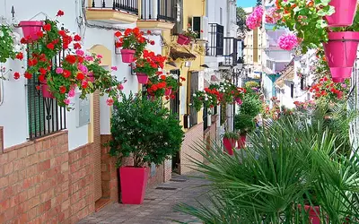 Ground Floor Apartment in Estepona