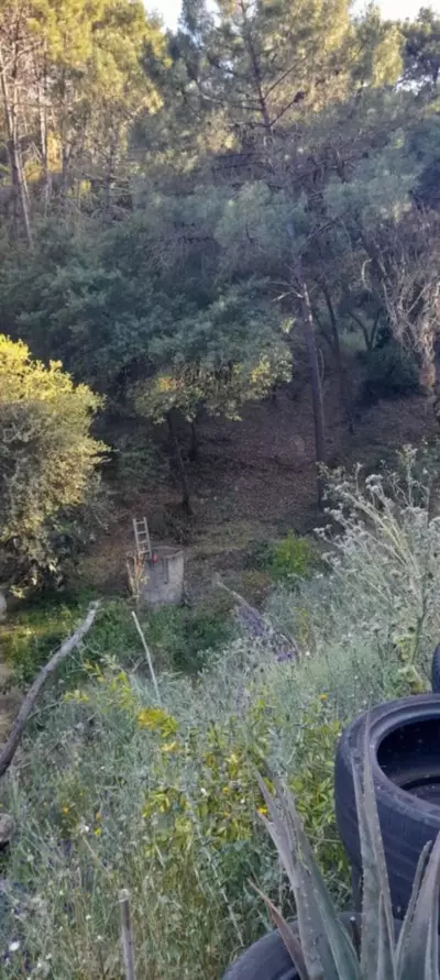 Land in Selwo