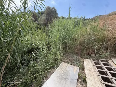 Land in Estepona