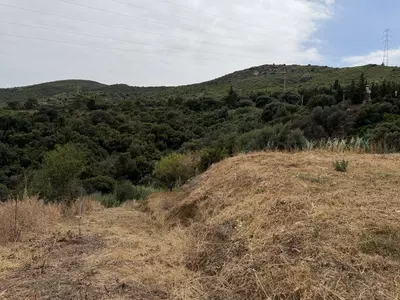 Land in Estepona