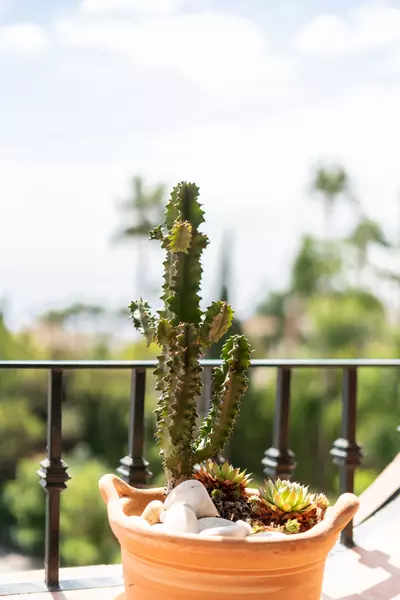 Penthouse in El Paraiso