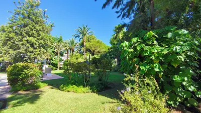 Middle Floor Apartment in Guadalmina Baja