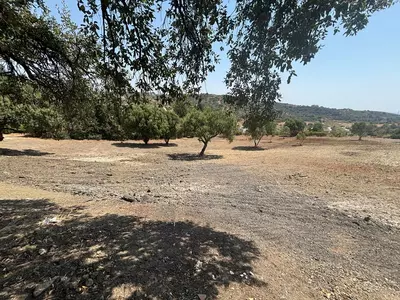 Residential Plot in Estepona