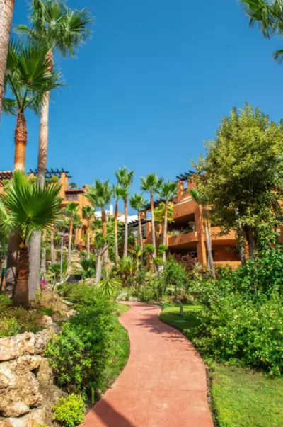 Ground Floor Apartment in Nueva Andalucía