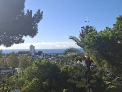 Middle Floor Apartment in Nueva Andalucía