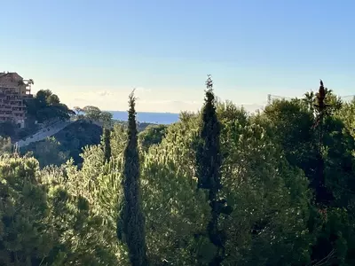 Ground Floor Apartment in Elviria