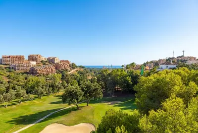Ground Floor Apartment in Elviria
