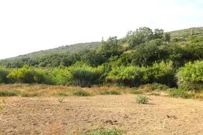 Land with Ruin in Manilva