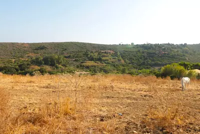 Land with Ruin in Manilva