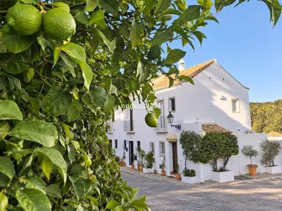 Semi-Detached House in Nueva Andalucía