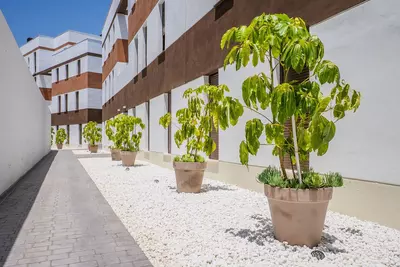 Middle Floor Apartment in Estepona