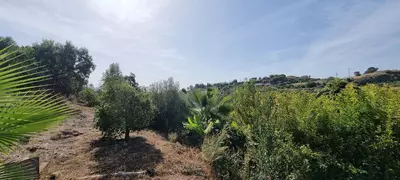 Detached Villa in Estepona