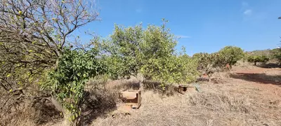 Detached Villa in Estepona